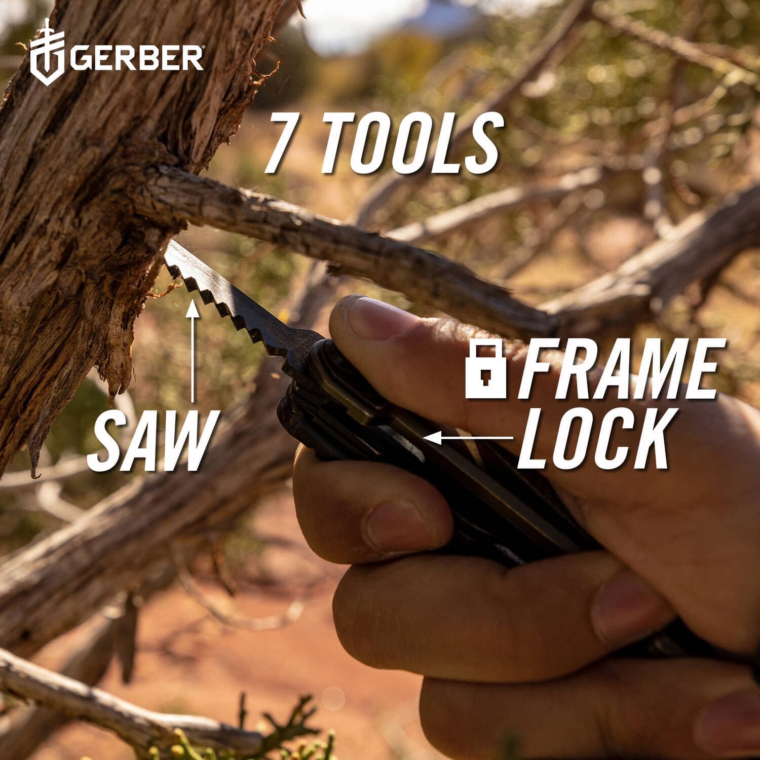 Armbar Scout — image 7 of 7