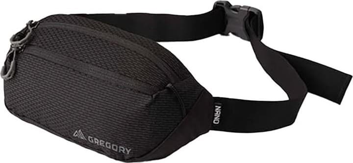 Gregory Nano Waistpack Mini — image 1 of 7