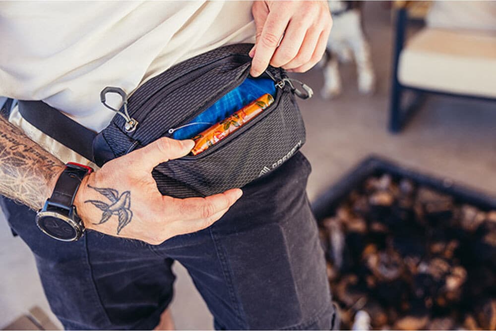 Gregory Nano Waistpack Mini — image 5 of 7