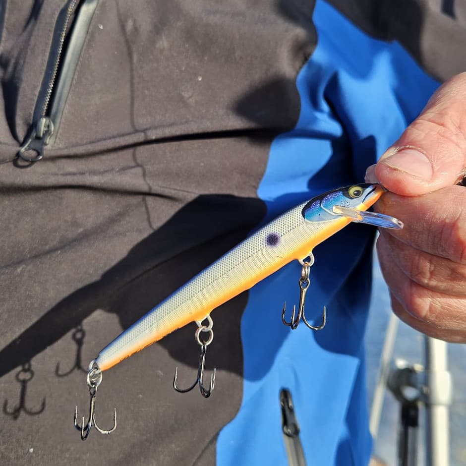 90 Years Lure Kit Floater Big Naturistic — image 6 of 9