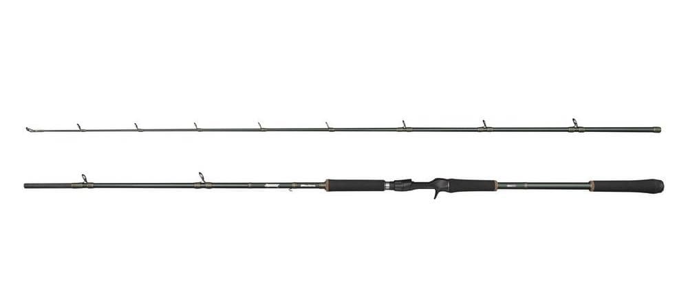 Beast X2 Casting Rod — image 1 of 5