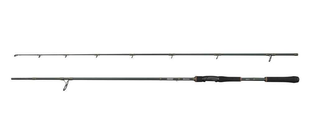 Beast X2 Spinning Rod — image 1 of 5
