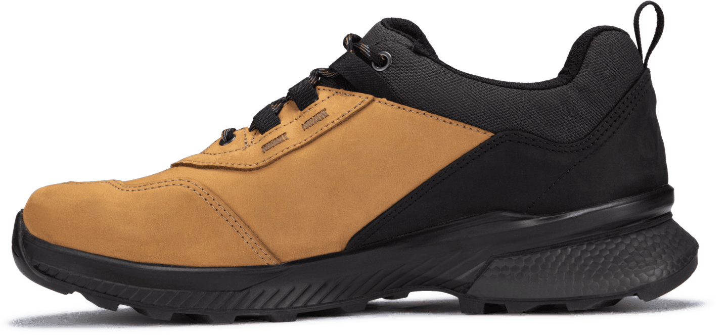Men's Fortavo Low SF Extra GORE-TEX — image 3 of 7