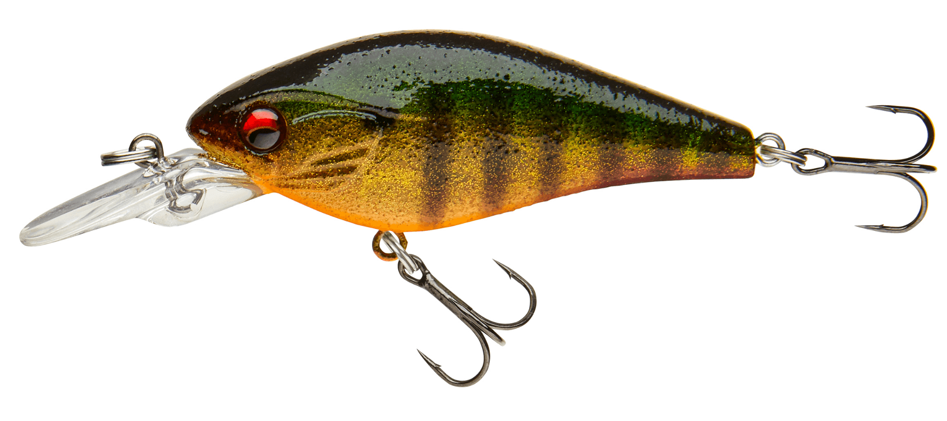 Golden Perch
