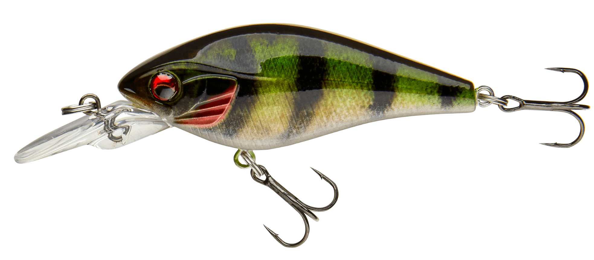 Live Perch