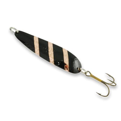 Salamander Trout — image 1 of 1