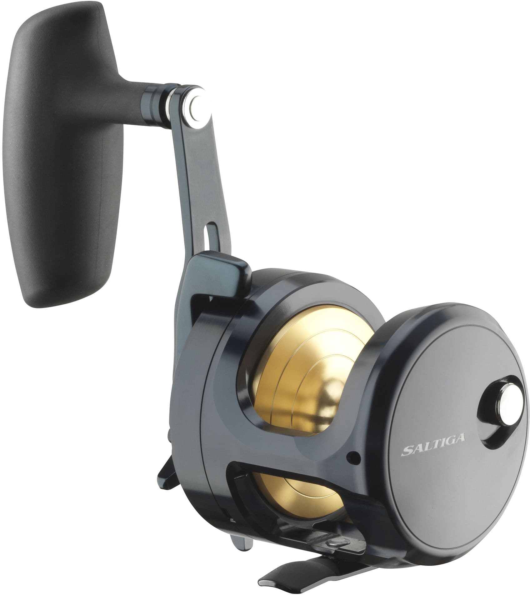 Daiwa 24 Saltiga (G)
