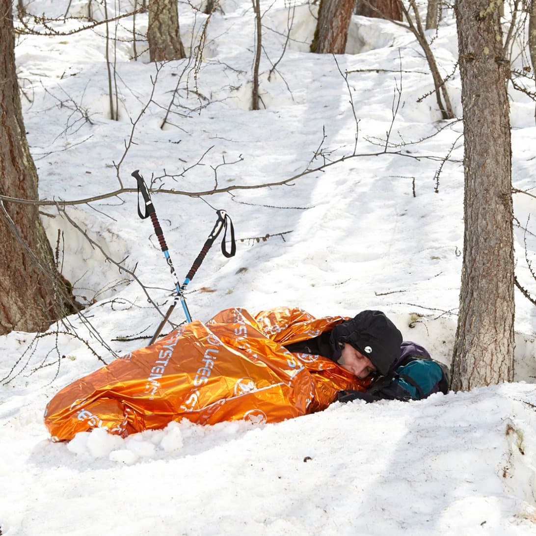 Thermal Bag — image 10 of 10