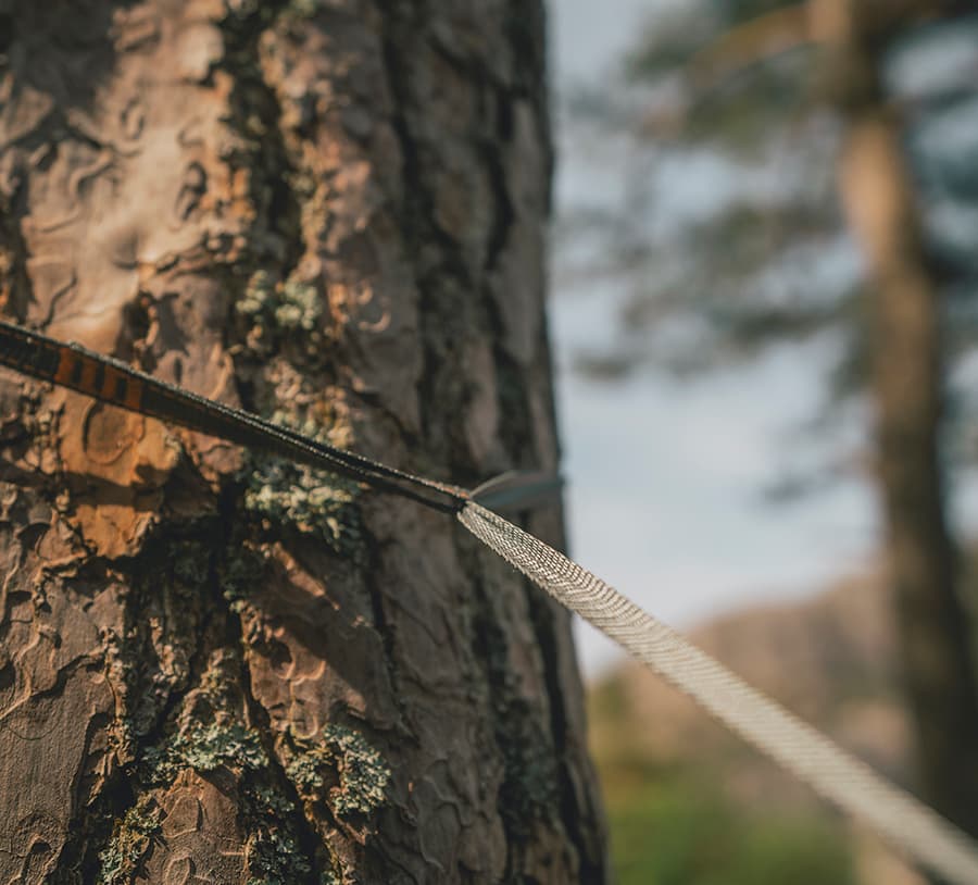 Trace Hammock UL — image 7 of 7