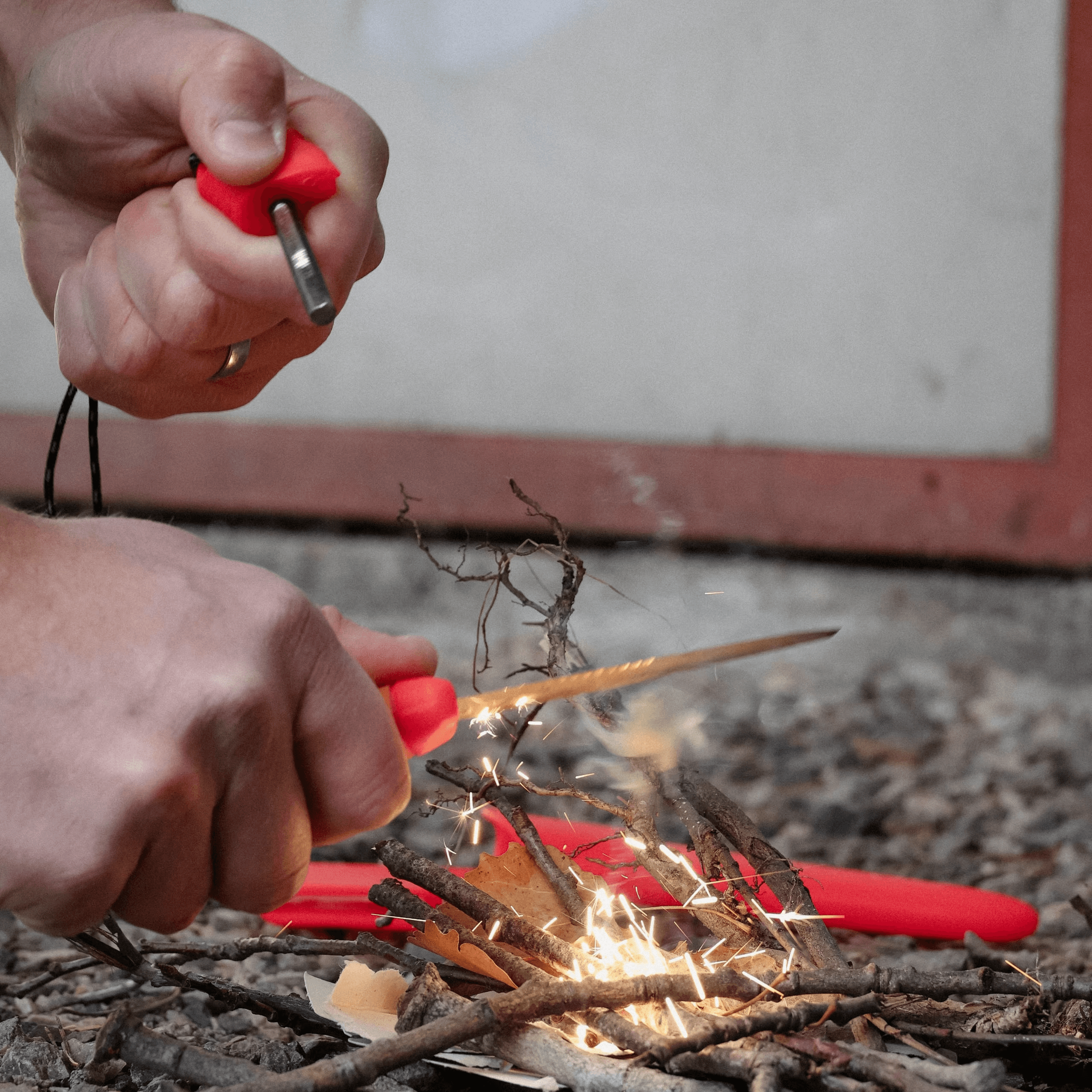 Companion Spark Emergency (S) — image 6 of 7