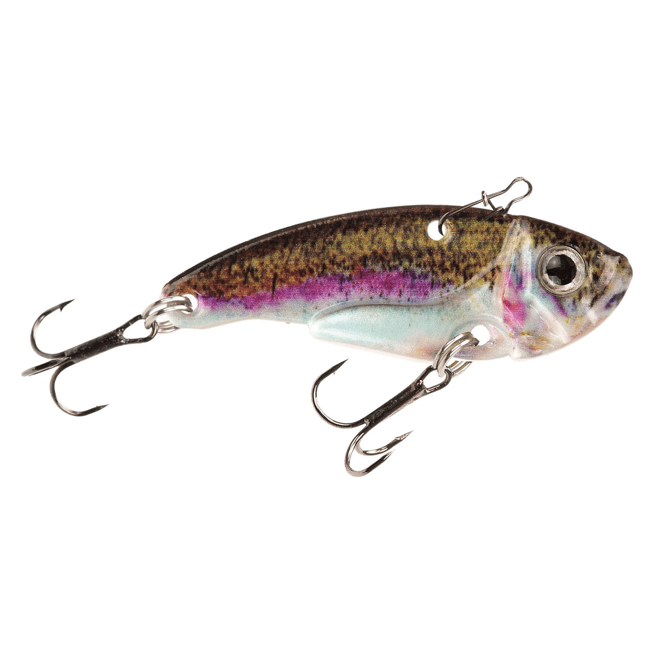 Rainbow Trout