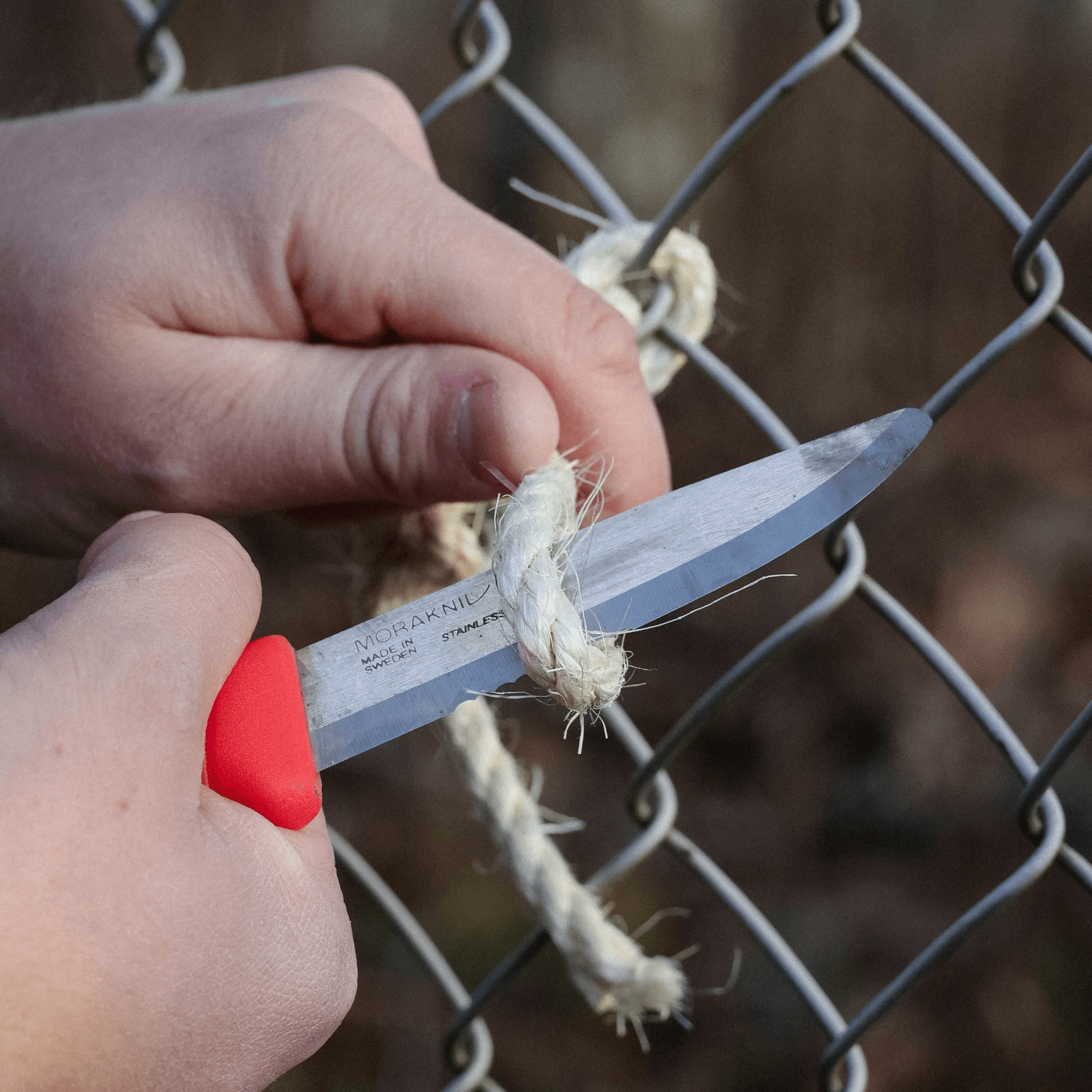 Companion Spark Emergency (S) — image 7 of 7