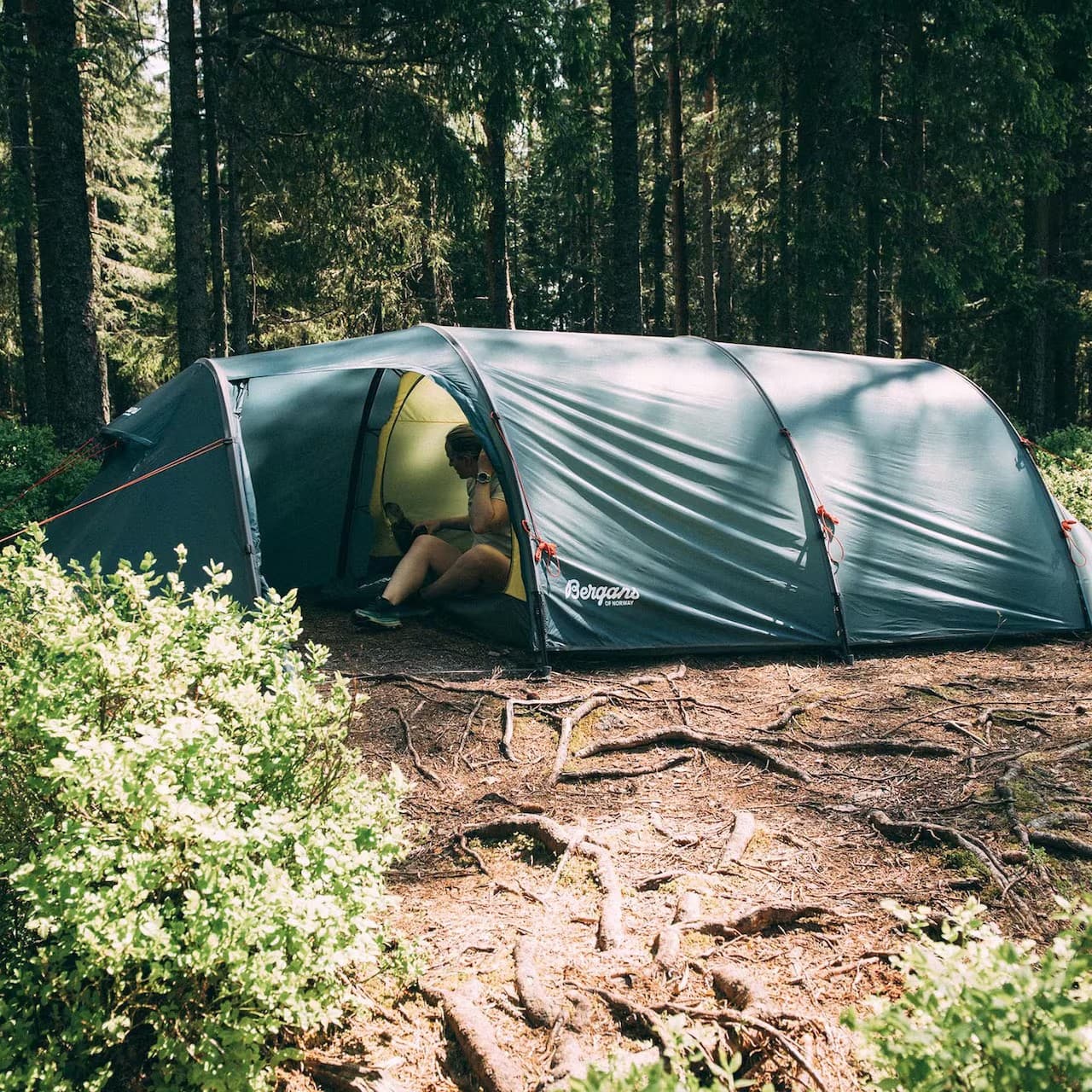 Trollhetta Tunnel 4-pers Tent — image 7 of 7