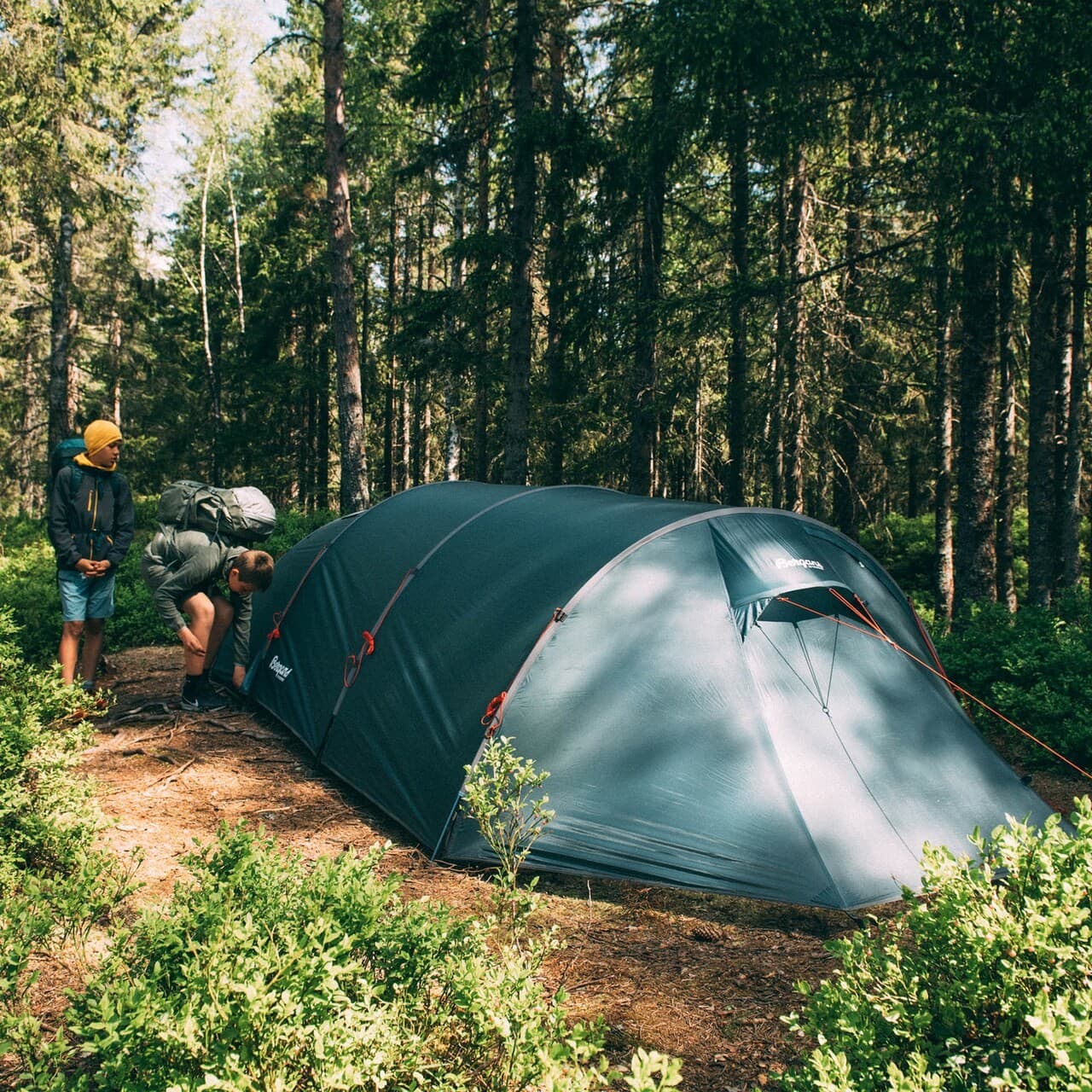 Trollhetta Tunnel 4-pers Tent — image 6 of 7
