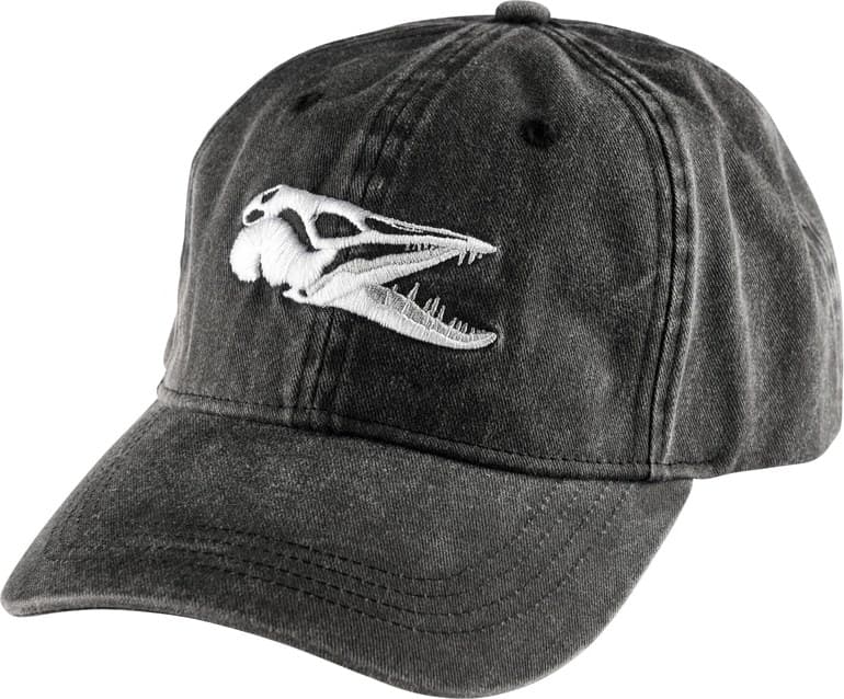 Scull Digi — image 1 of 2