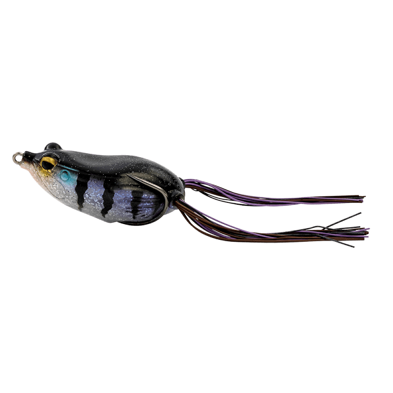 Gill
