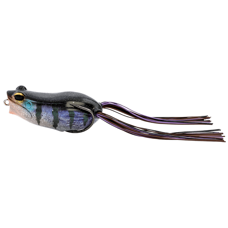 Gill
