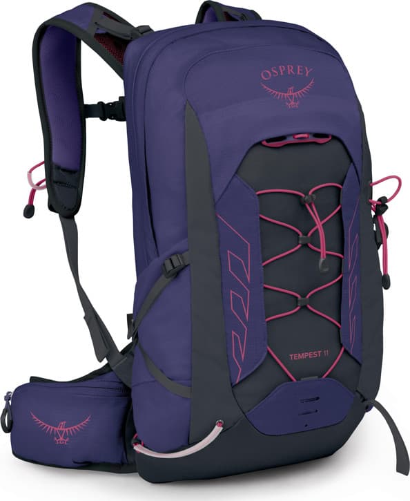 Deep Fig/Hotspot Pink