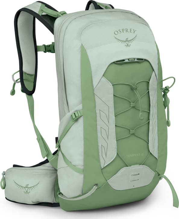 Frosty Mint Green/Botanica
