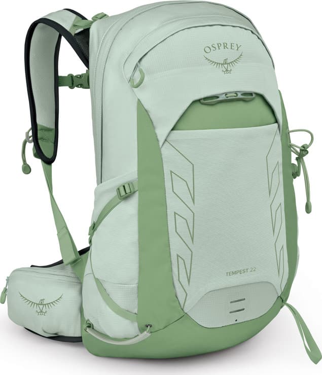 Frosty Mint Green/Botanica