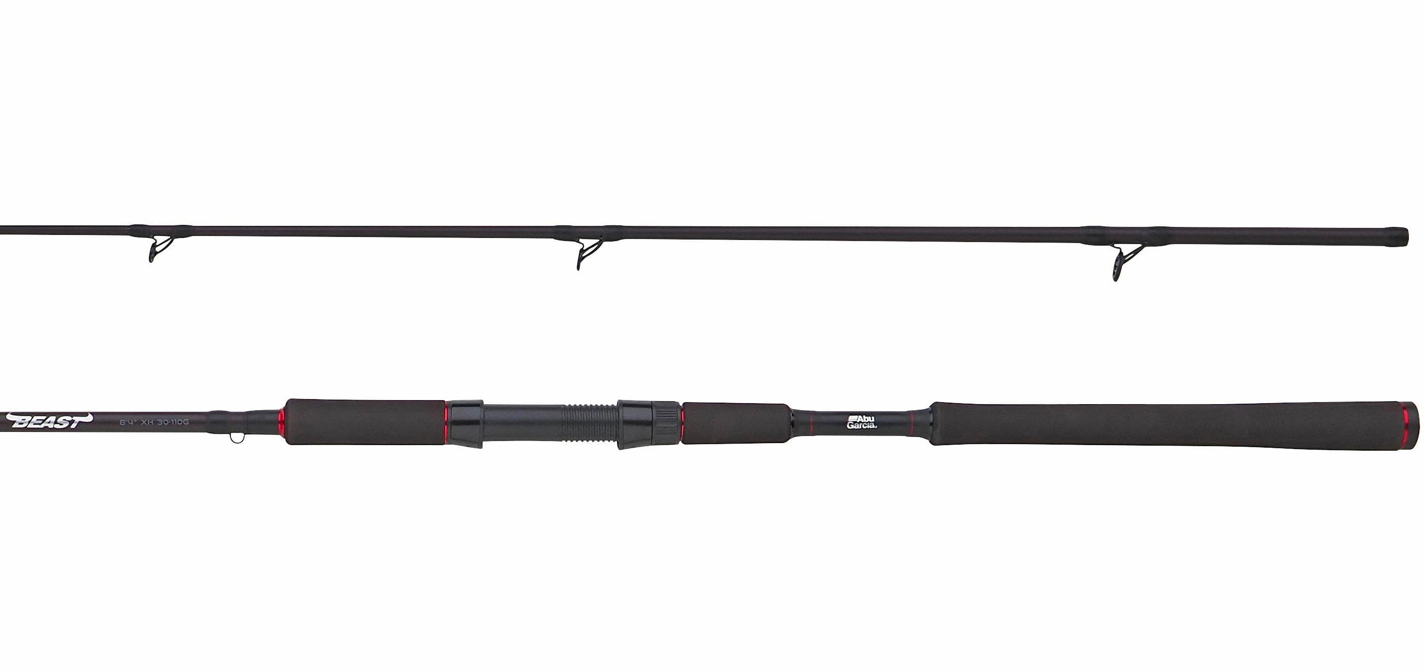 Abu Garcia Beast Pike