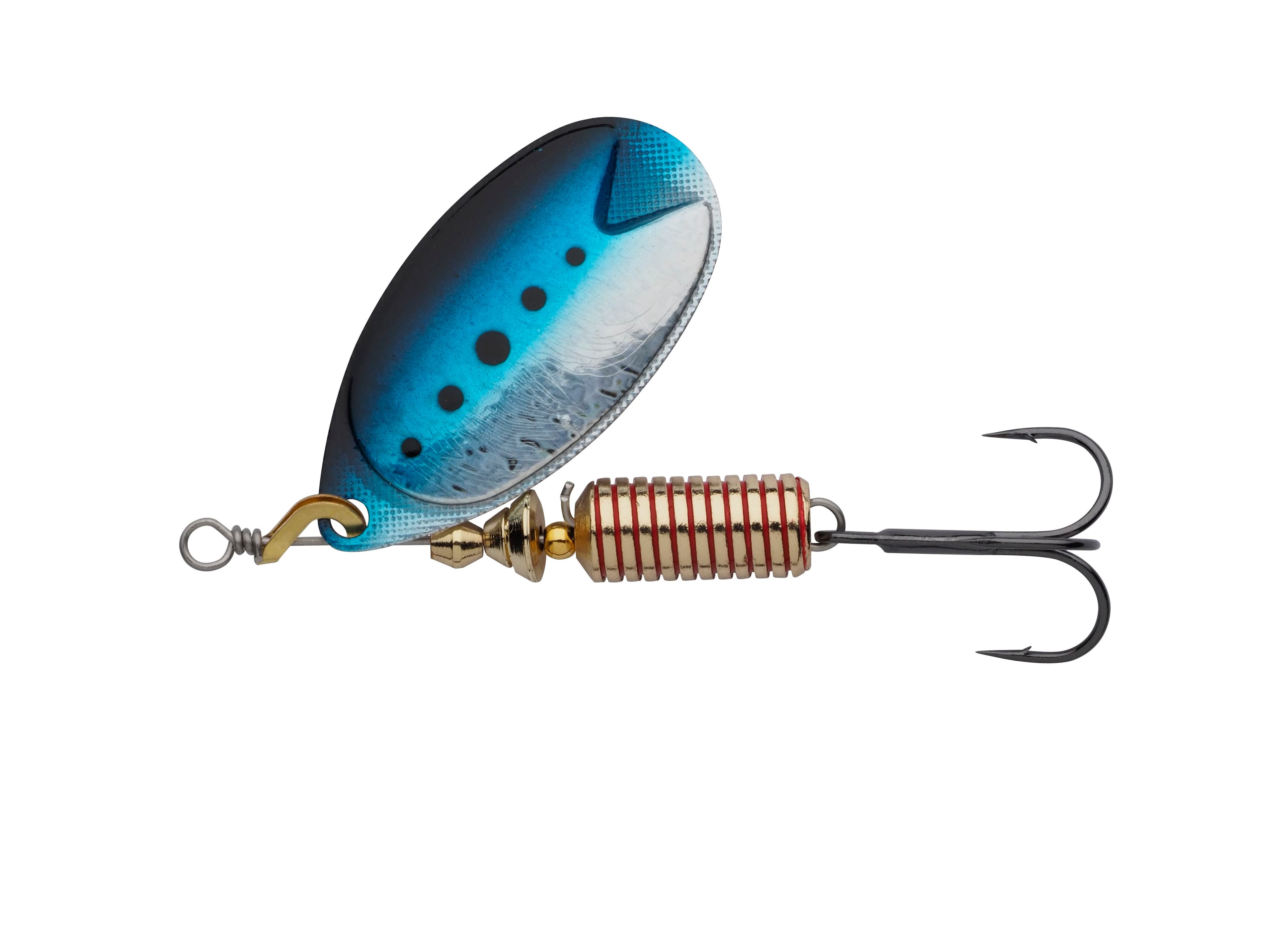 Sardine