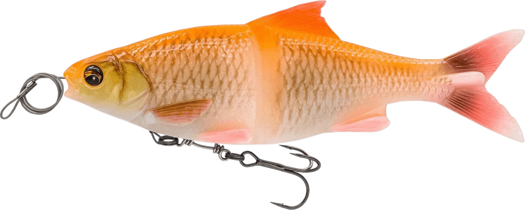 Albino Roach