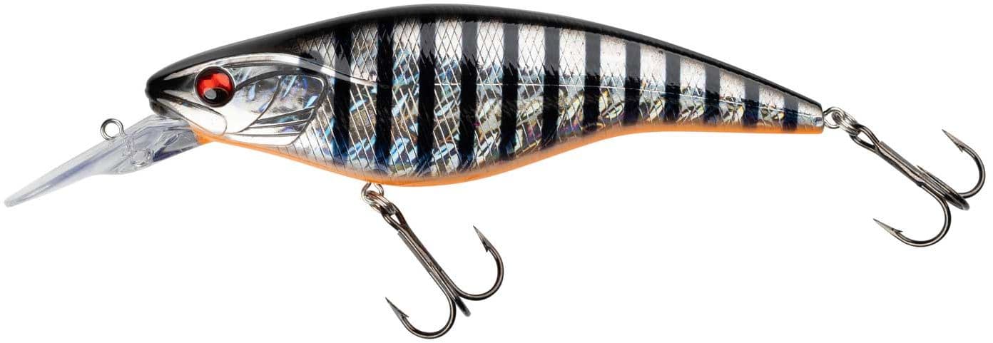 Aurora Zebra
