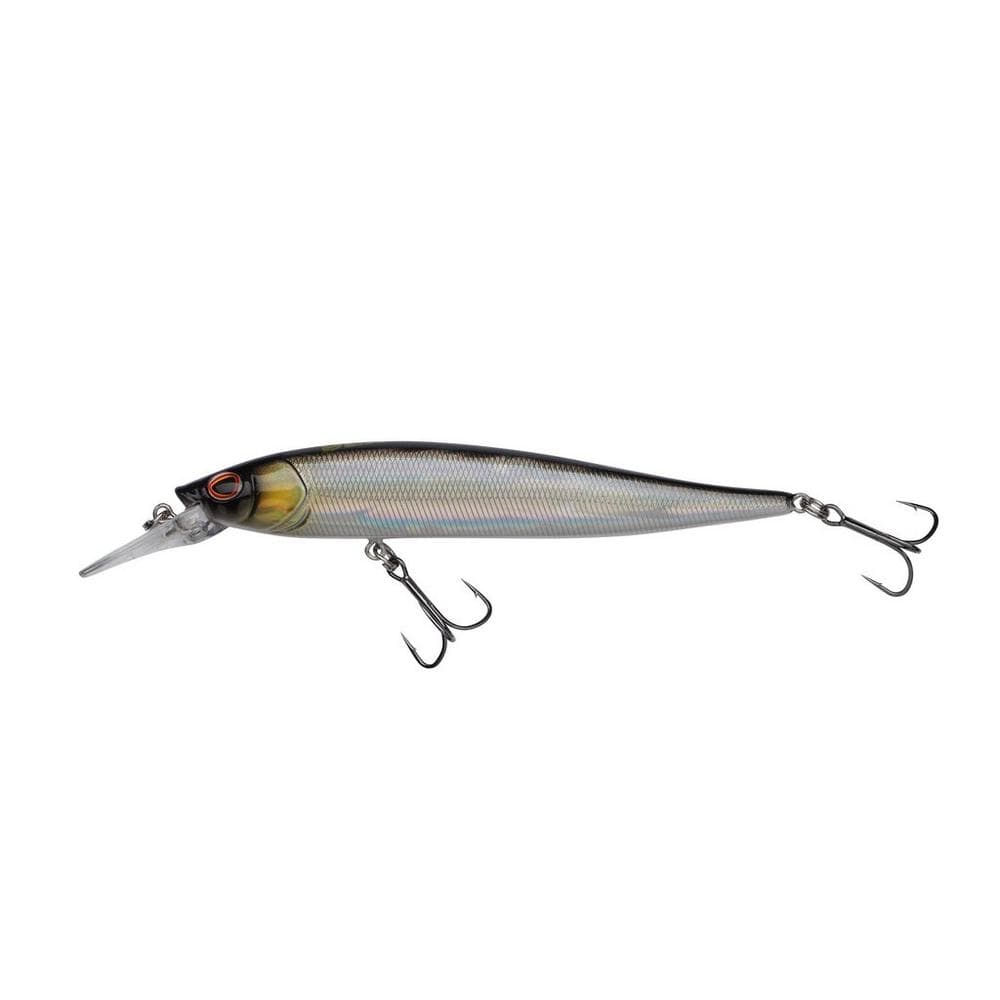 Baitfish