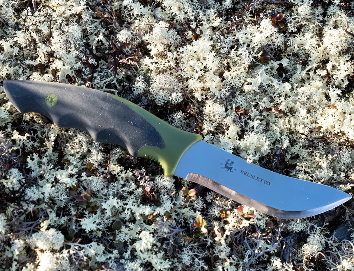 Skinner — image 4 of 5