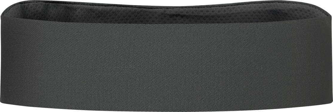 Go Visor — image 2 of 2
