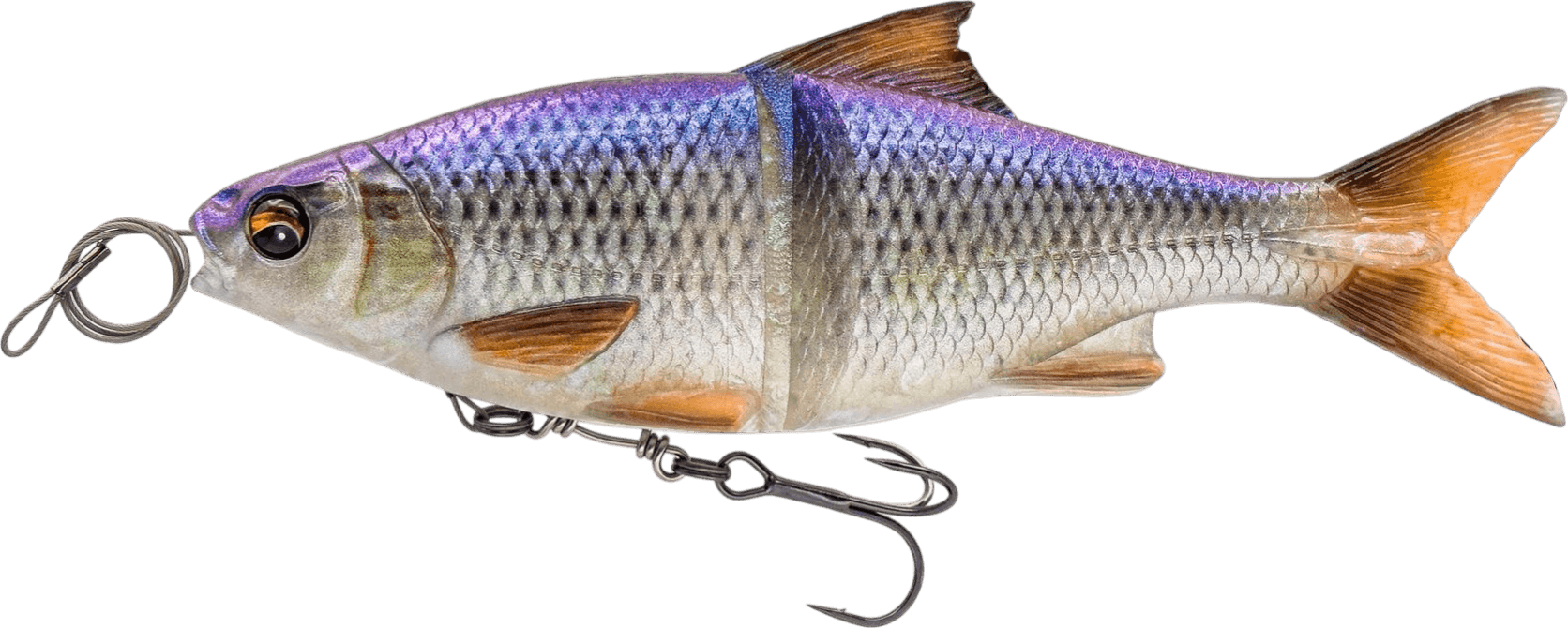 Clear Blue Roach