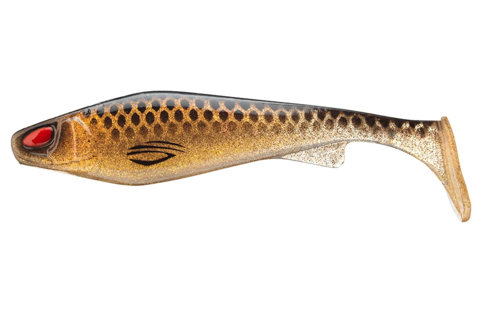 Spotted Bullhead
