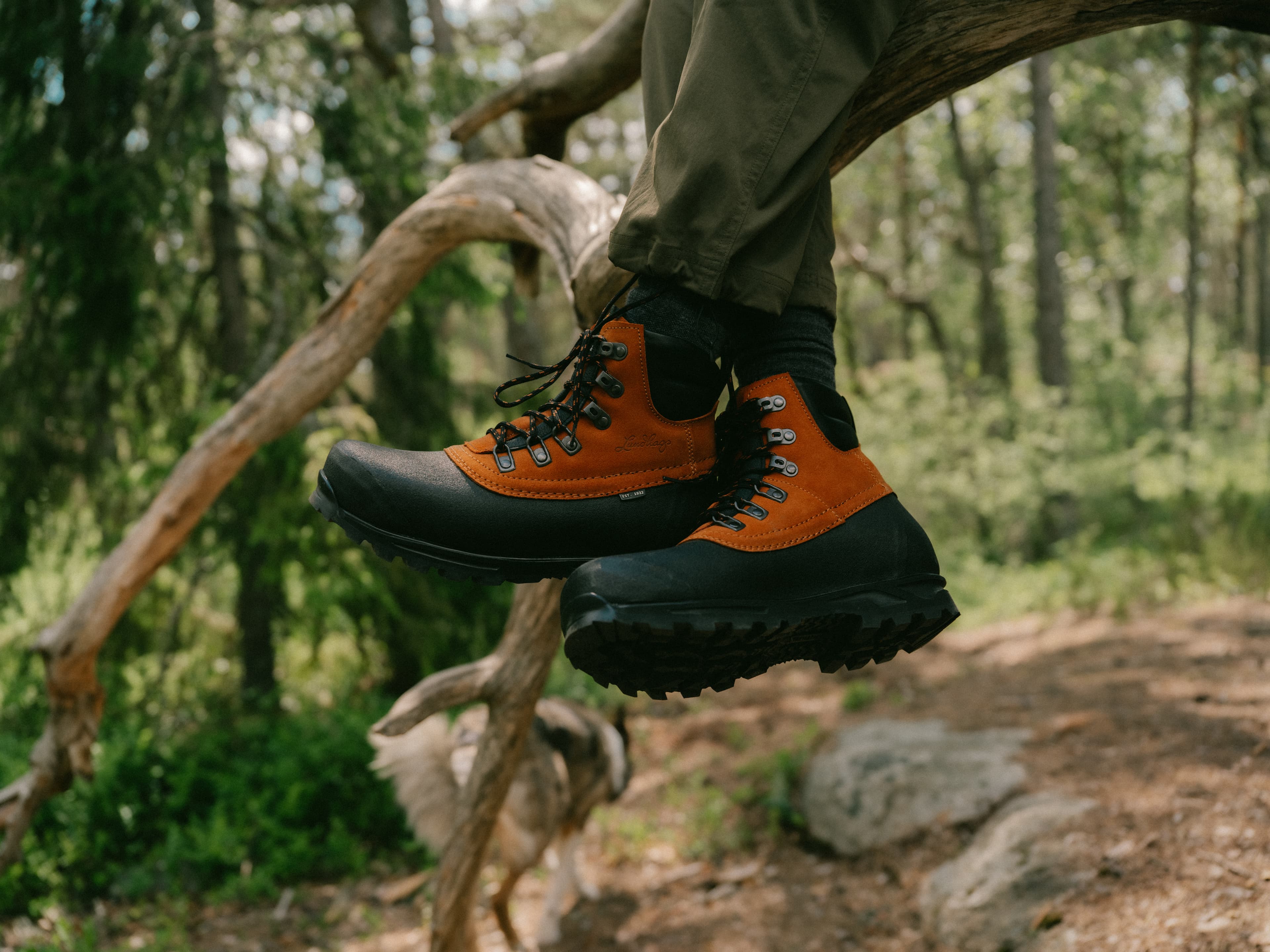 Tjakke II Trekking Boot Mid — image 6 of 9