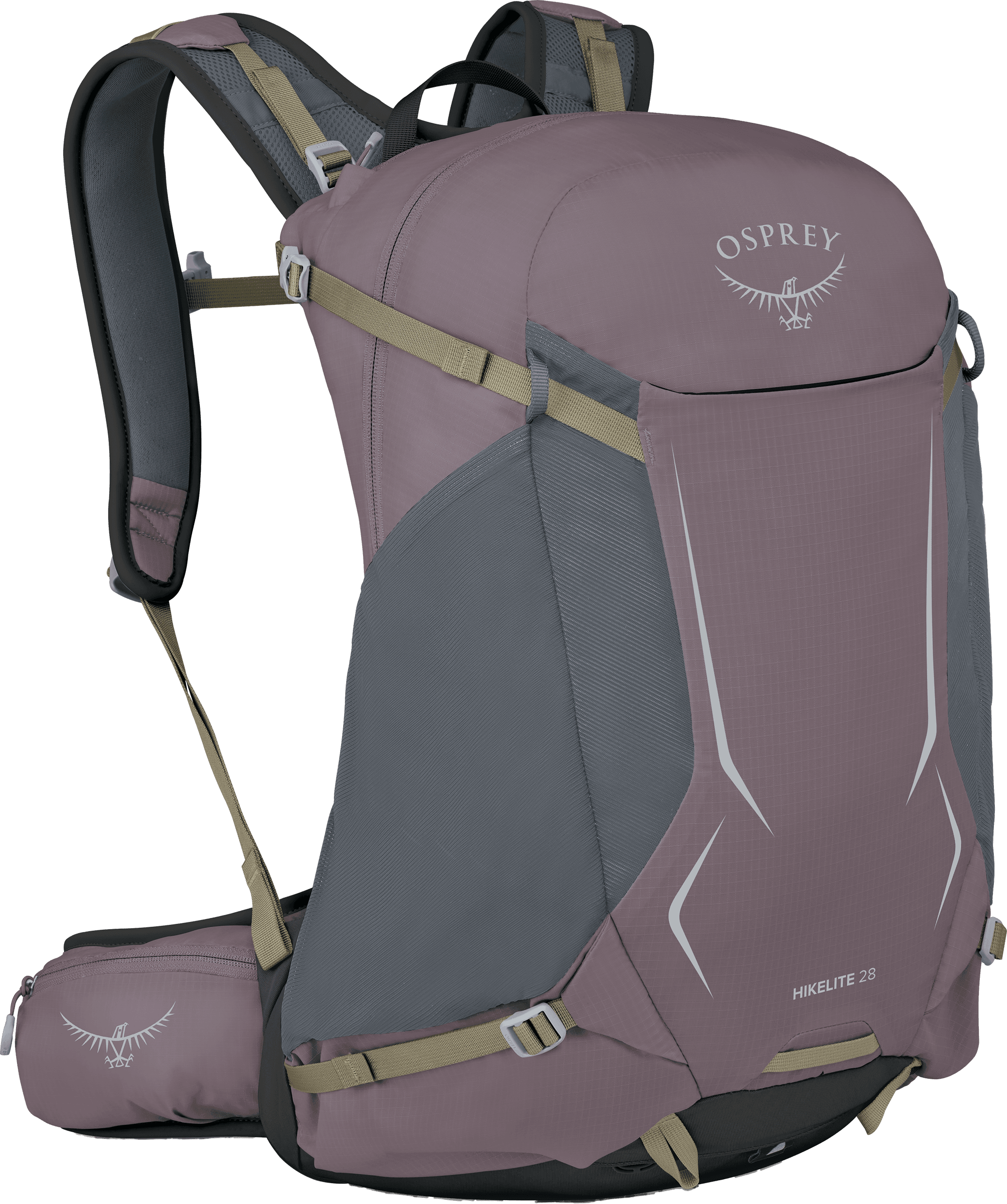 Graphite Purple