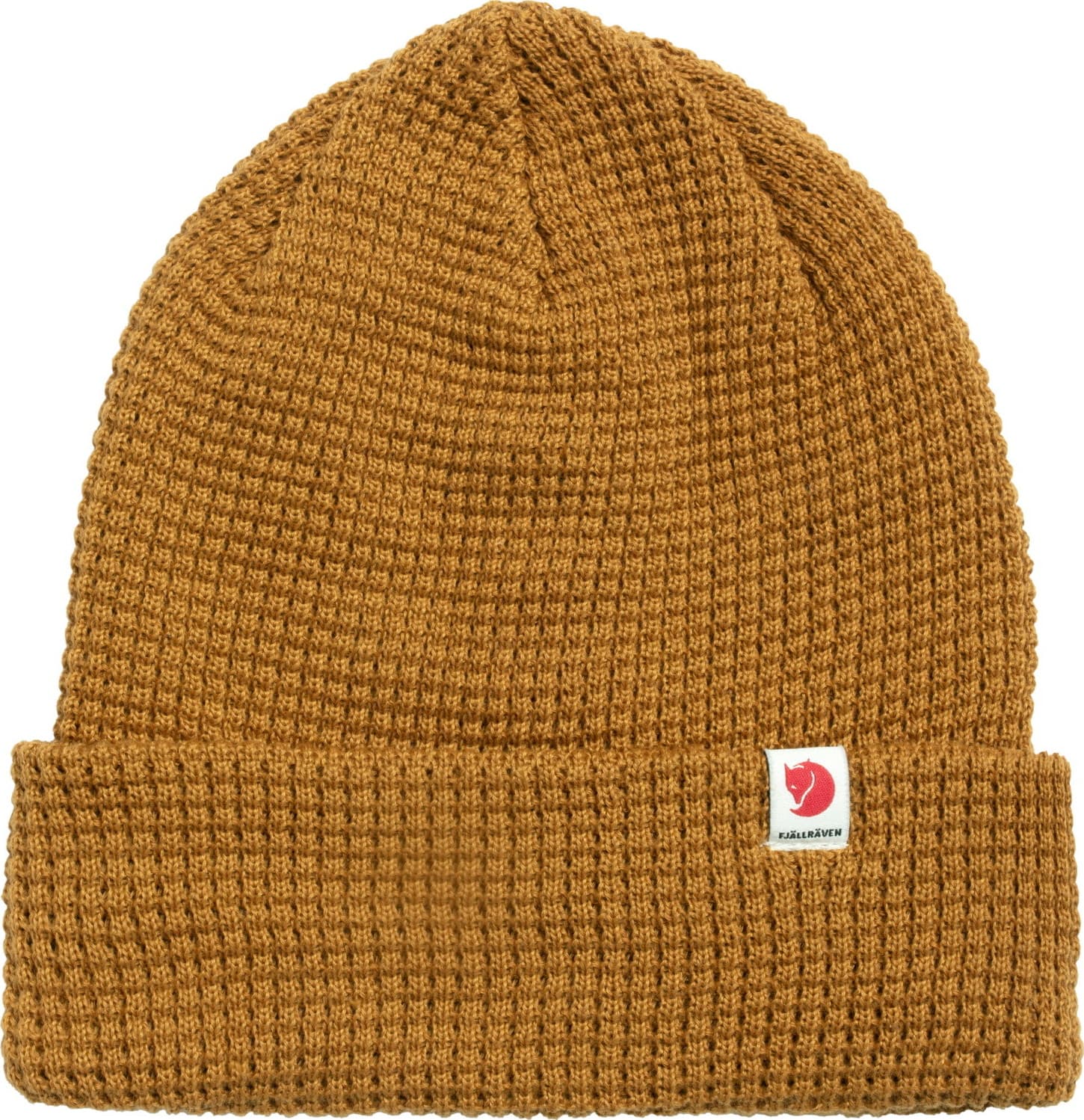 Acorn