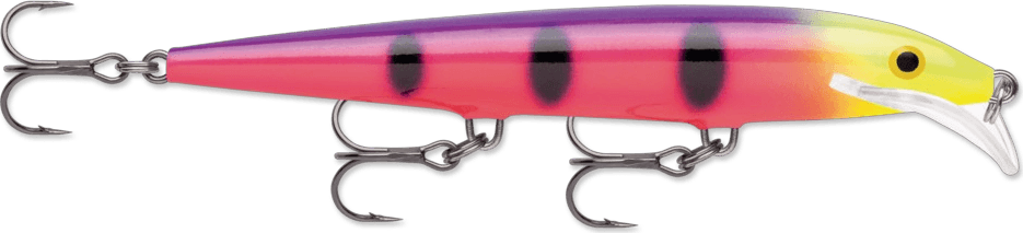 FPN