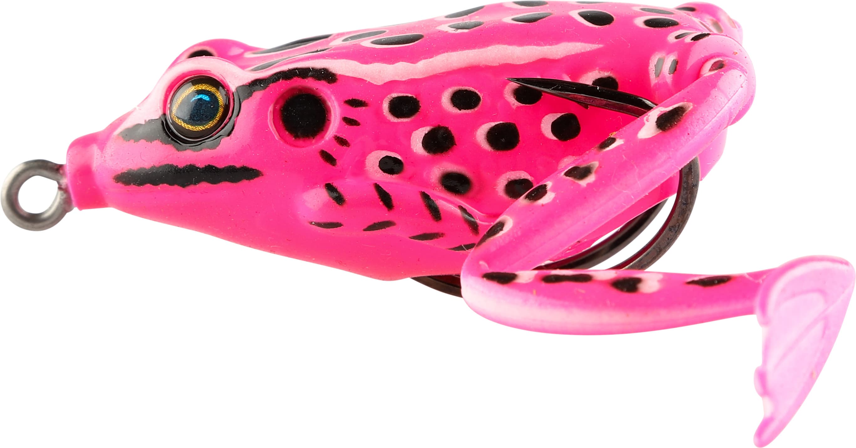 Frog — image 2 of 2
