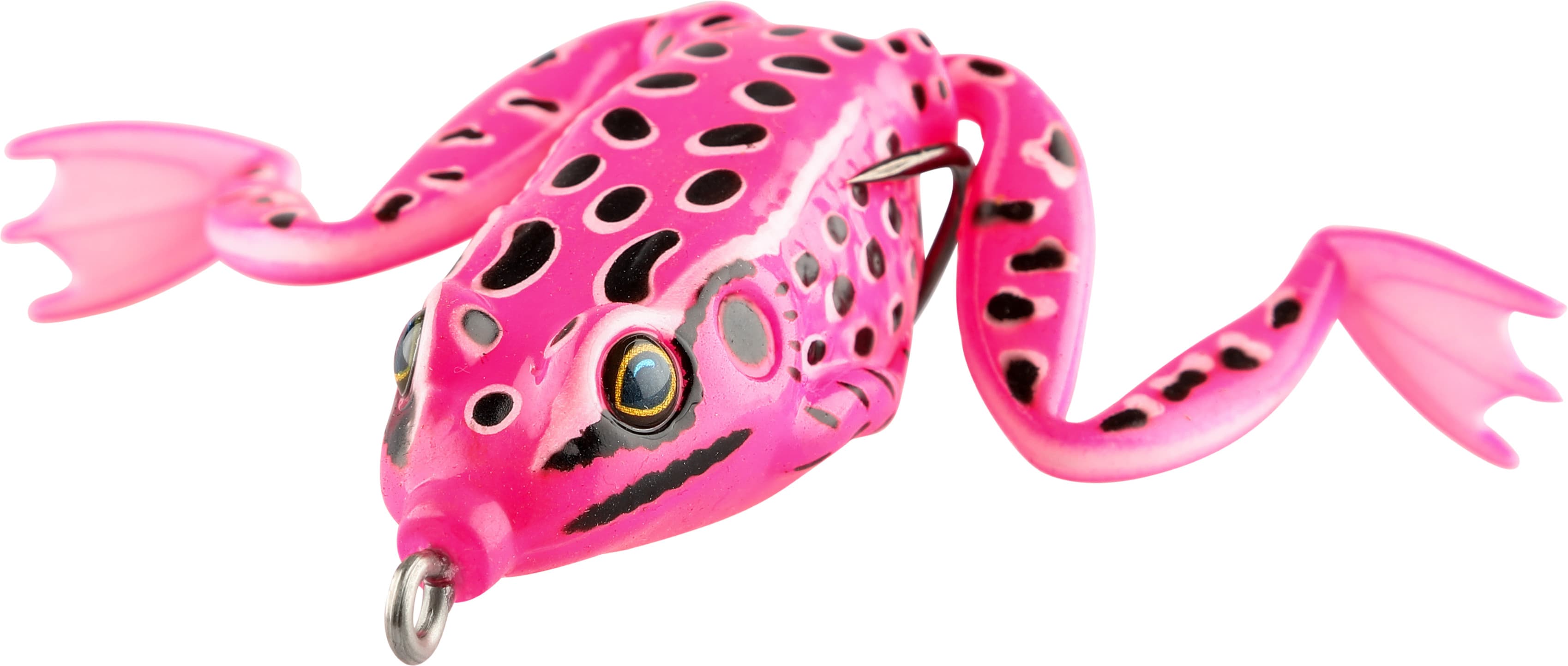 Frog — image 1 of 2