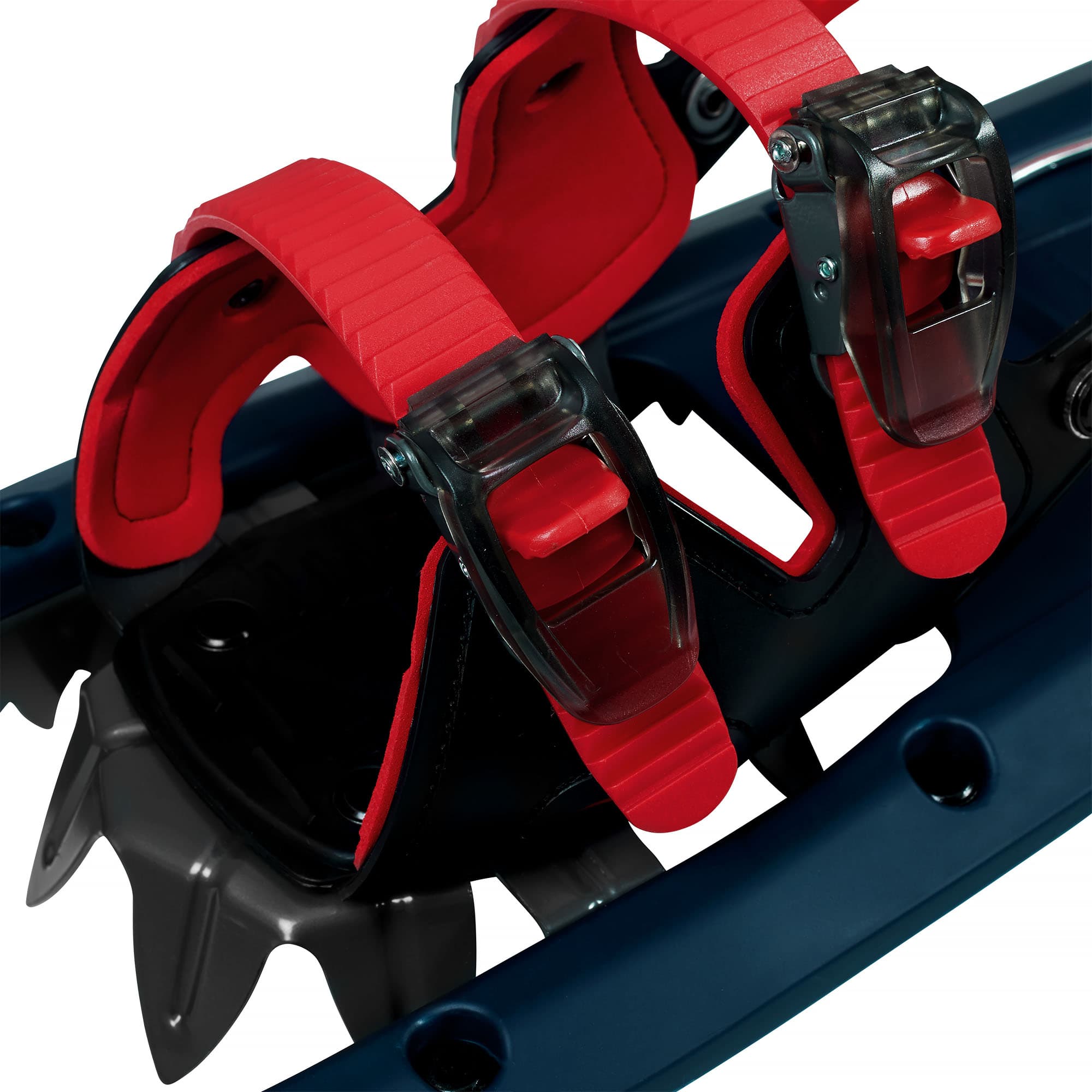 Pasvik Snowshoe — image 8 of 12
