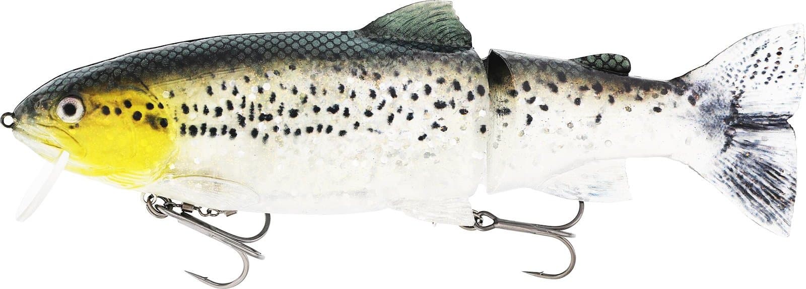 Tommy The Trout — image 1 of 1