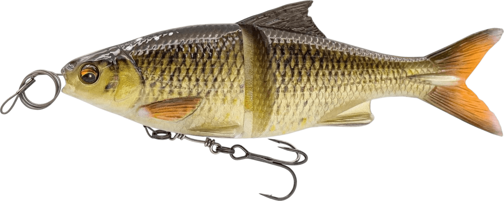 Horny Bream
