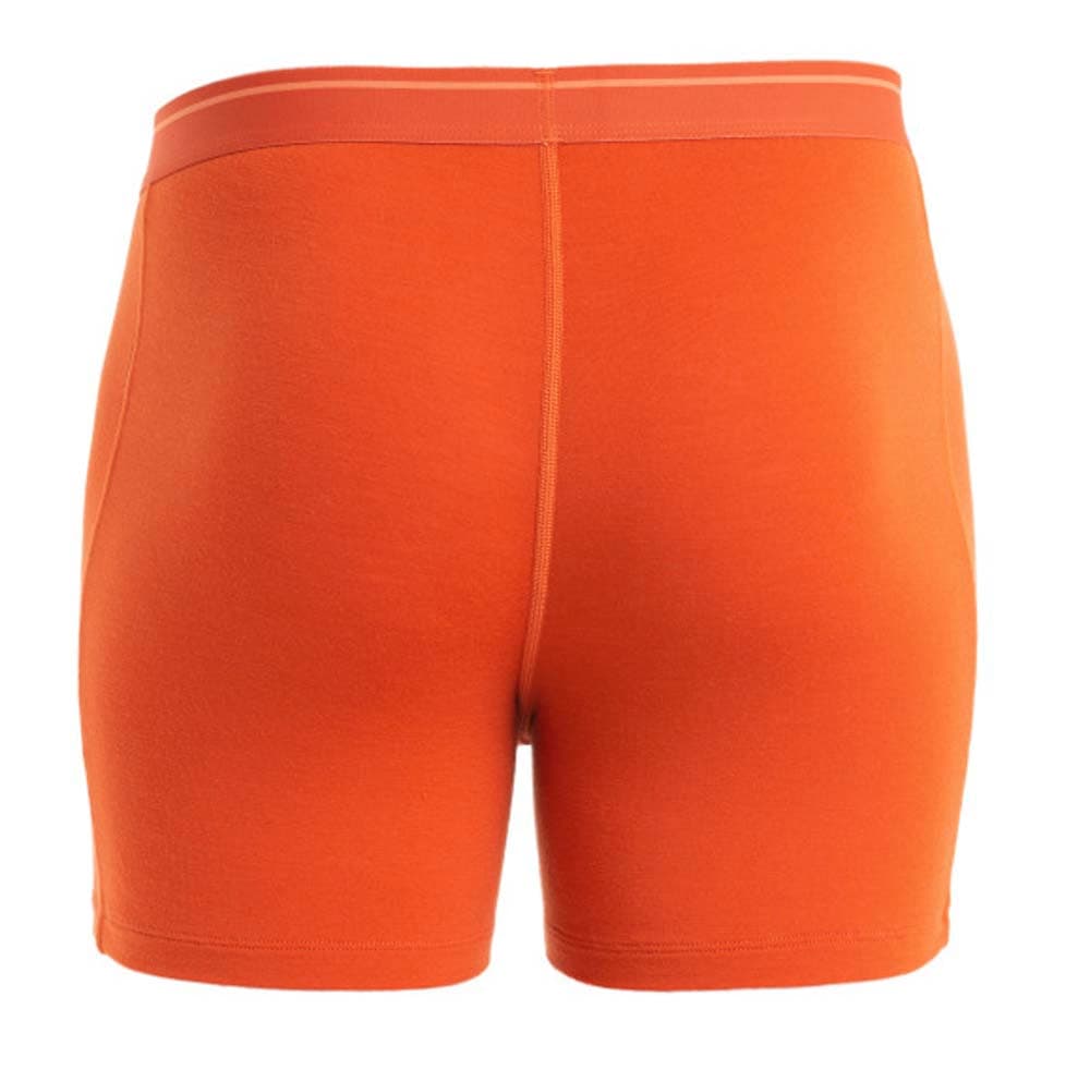 Icebreaker-IB103029-Men's Anatomica Boxers — image 2 of 2
