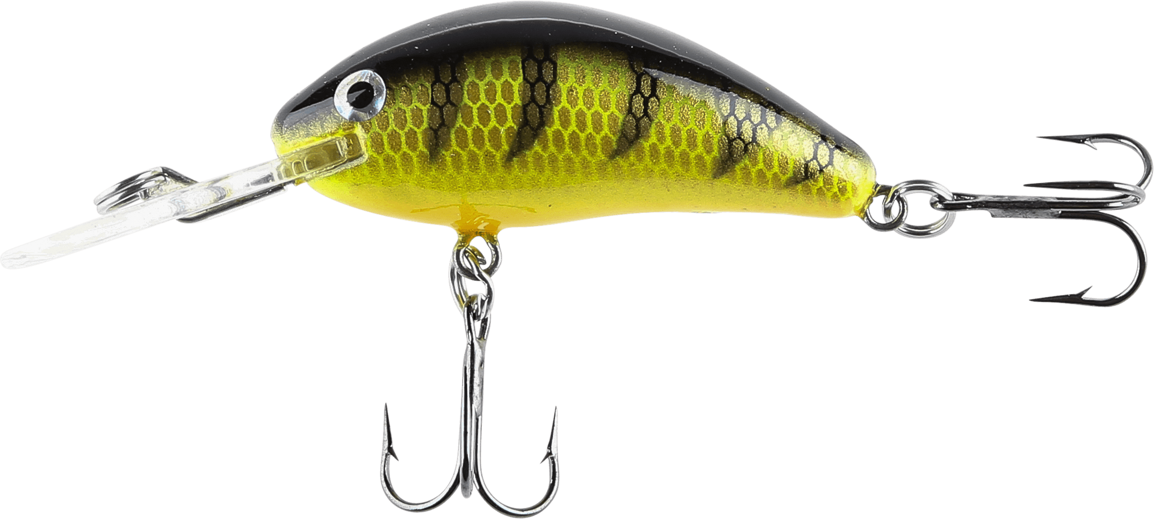 Fluo Perch