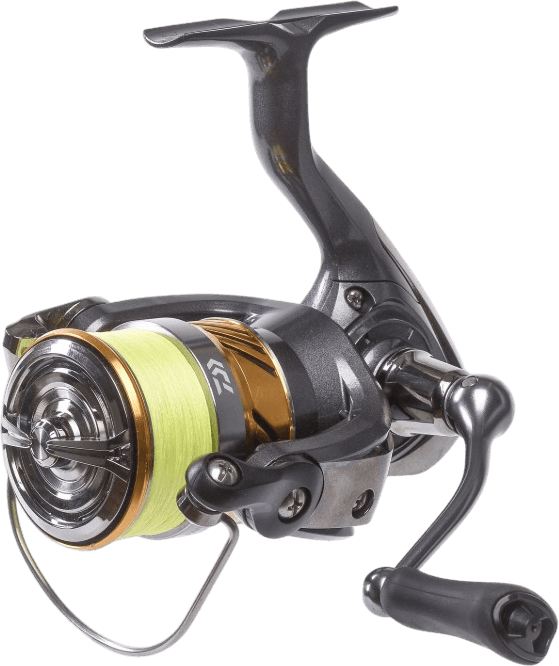 20 Laguna Lt - Pre-Spooled — image 4 of 4