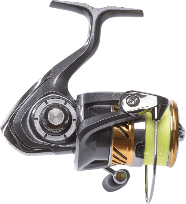 20 Laguna Lt - Pre-Spooled — image 2 of 4