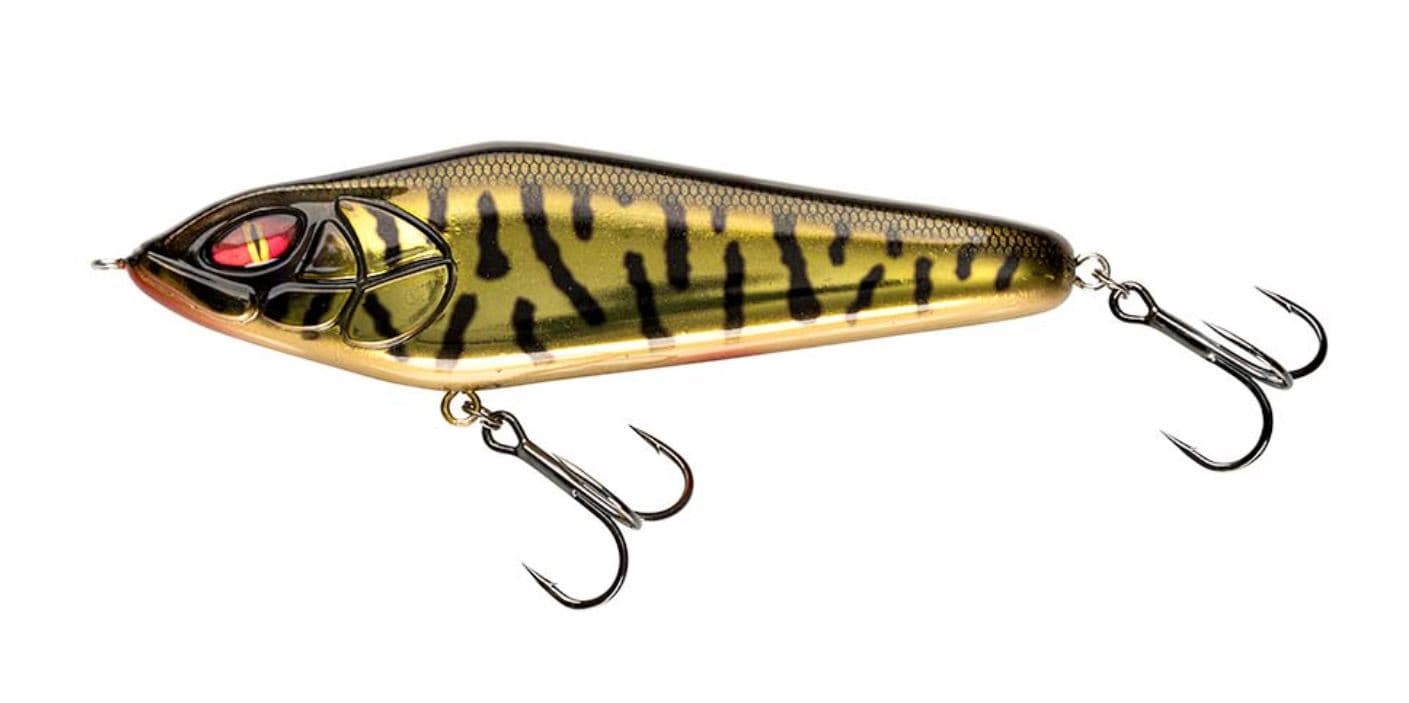 Golden Burbot