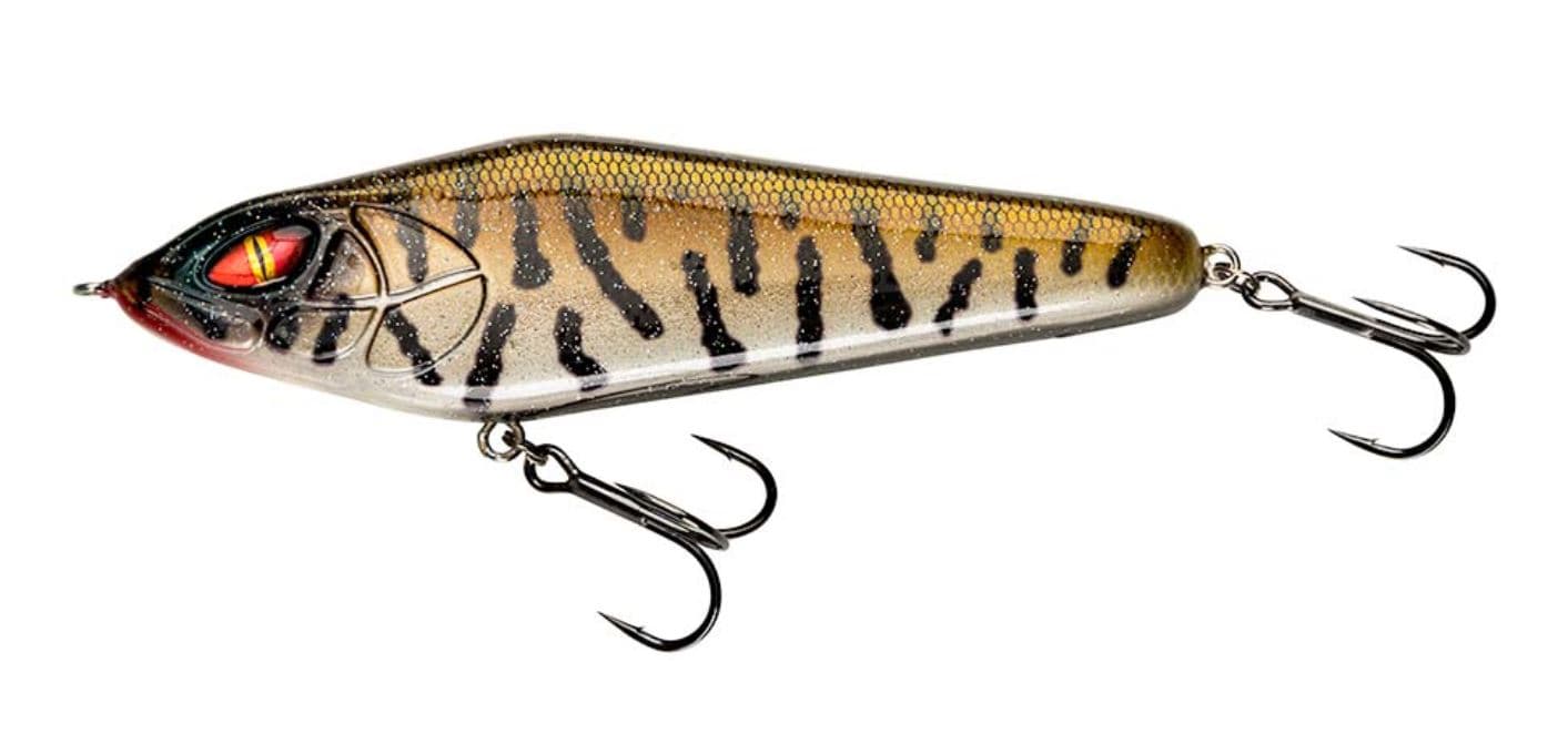 Live Burbot