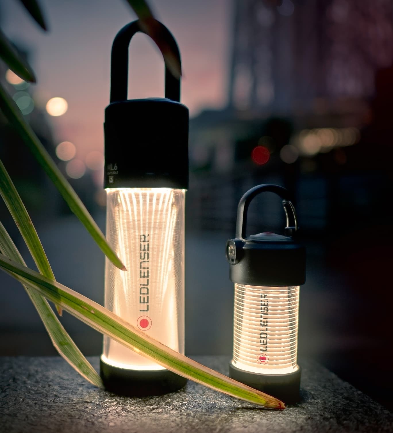 Ml4 Wamt Light — image 7 of 8