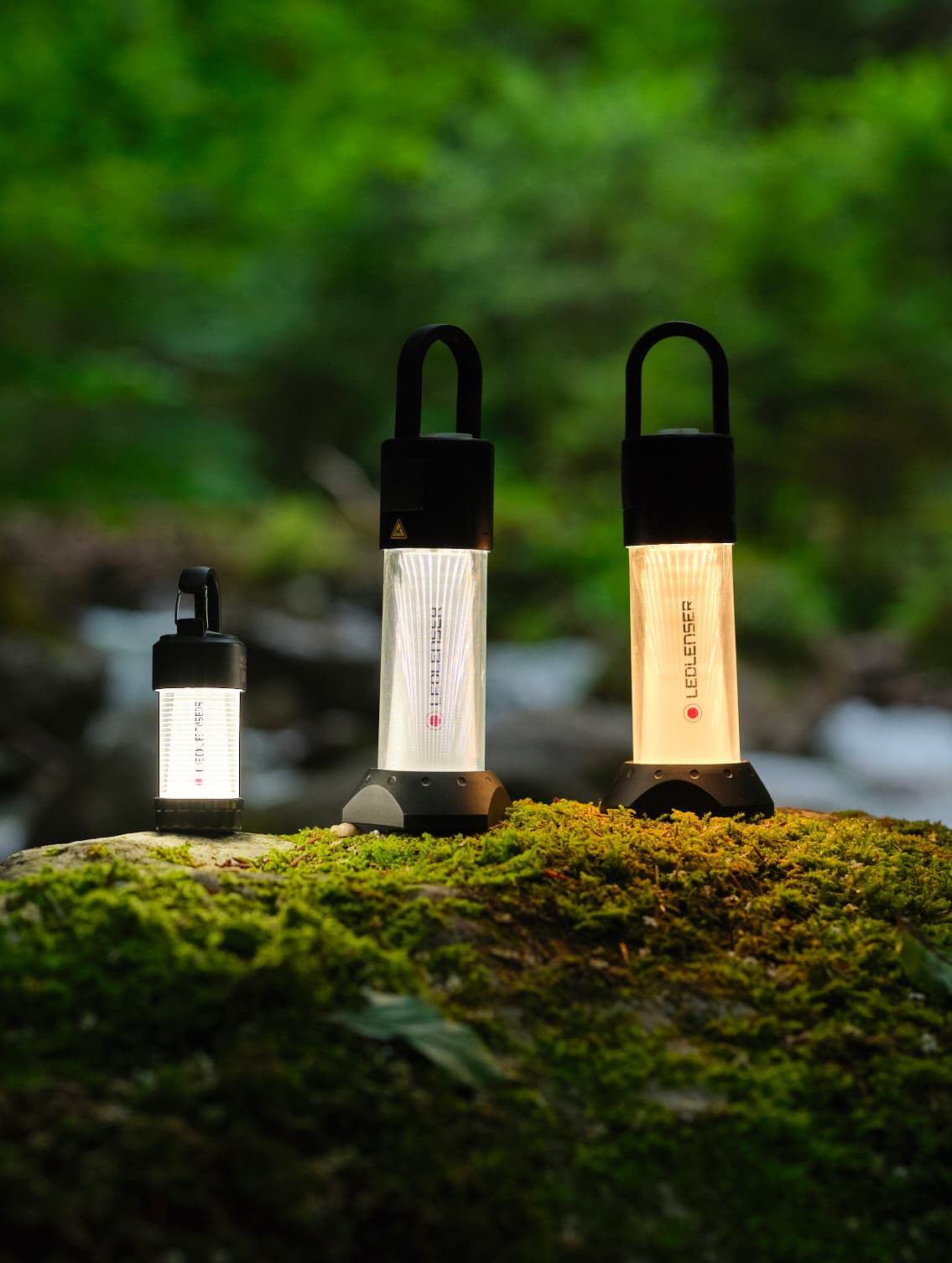 Ml4 Wamt Light — image 4 of 8